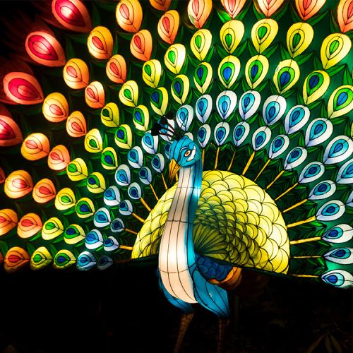 Lanterne chinoise de décoration de fête en soie