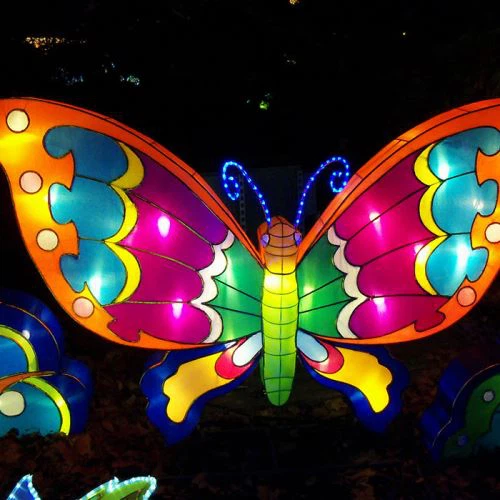 Beau papillon lanterne chinoise pour le jardin botanique